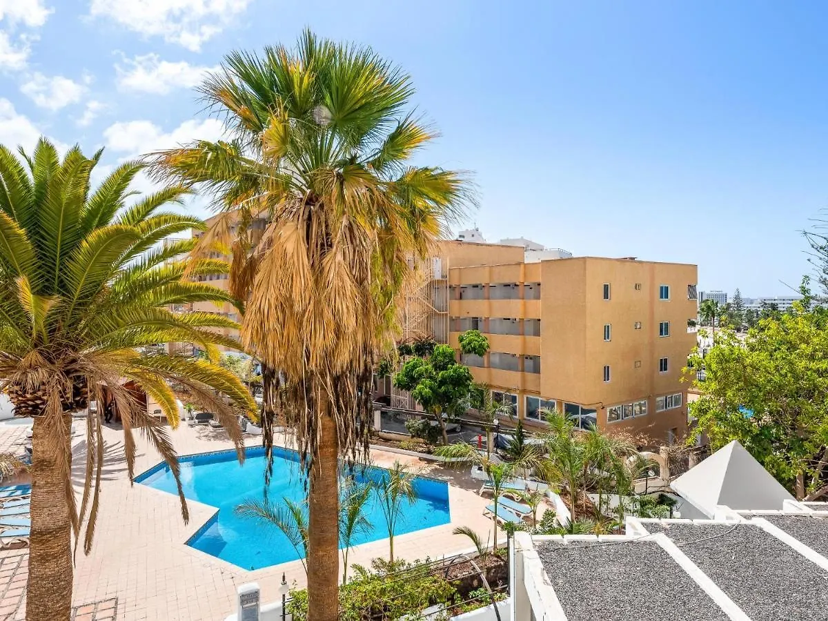 דירה פלאייה דה לאס אמריקס 302 Modern, Light, Comfortable Studio With Swimming Pool ספרד